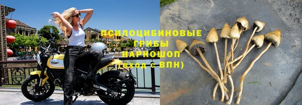 бутират Пролетарск