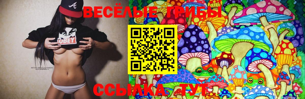 Серпухов  Псилоцибиновые грибы Psilocybe  где купить наркоту  Вход с VPN 