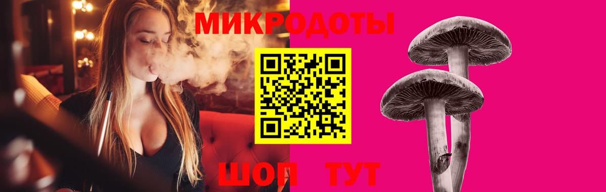 Галлюциногенные грибы Psilocybine cubensis Серпухов
